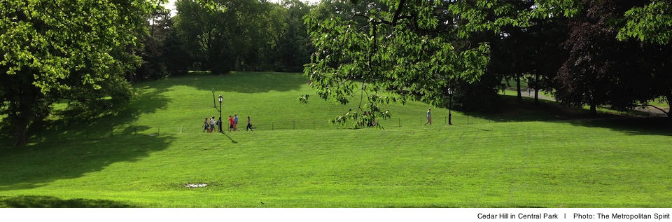 Cedar Hill in Central Park - Photo: The Metropolitan Spirit